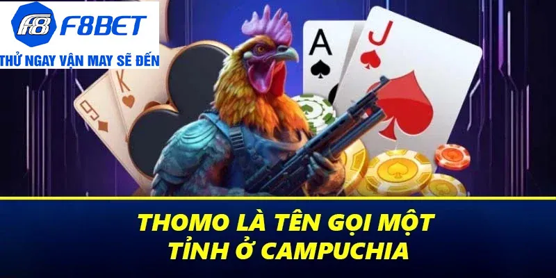 giới thiệu đá gà thomo